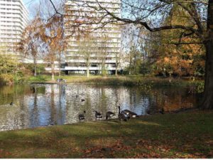 Gelsenkirchen Altstadt Stadtgarten im November 2020