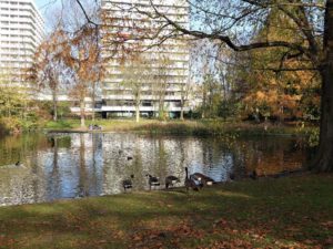 Der Stadtgarten in Gelsenkirchen Altstadt im November 2020