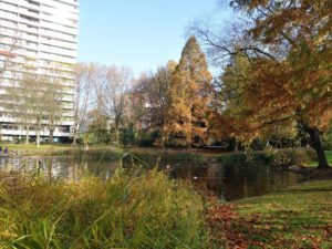 Gelsenkirchen Altstadt Stadtgarten im November 2020