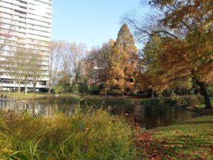 Der Stadtgarten in Gelsenkirchen Altstadt im November 2020