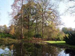 Gelsenkirchen Altstadt Stadtgarten im November 2020