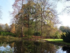Der Stadtgarten in Gelsenkirchen Altstadt im November 2020