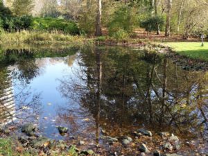 Gelsenkirchen Altstadt Stadtgarten im November 2020