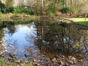 Der Stadtgarten in Gelsenkirchen Altstadt im November 2020