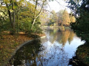 Gelsenkirchen Altstadt Stadtgarten im November 2020