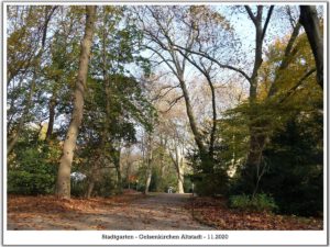 Gelsenkirchen Altstadt Stadtgarten im November 2020