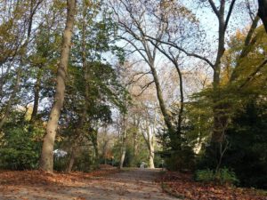 Gelsenkirchen Altstadt Stadtgarten im November 2020