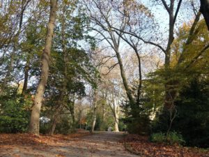 Der Stadtgarten in Gelsenkirchen Altstadt im November 2020