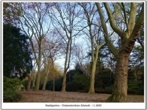 Der Stadtgarten in Gelsenkirchen Altstadt im November 2020