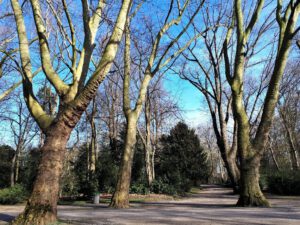 Gelsenkirchen Altstadt im März 2021