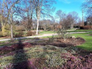 Gelsenkirchen Altstadt im März 2021