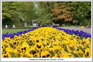 Gelsenkirchen Altstadt Stadtgarten im Mai 2021