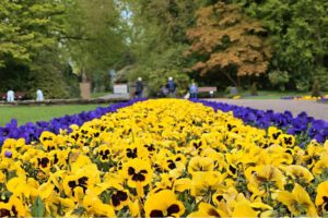 Gelsenkirchen Altstadt Stadtgarten im Mai 2021