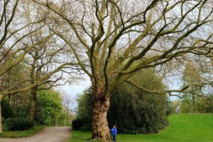 Gelsenkirchen Altstadt Stadtgarten im Mai 2021