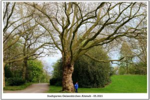 Der Stadtgarten in Gelsenkirchen Altstadt im Mai 2021