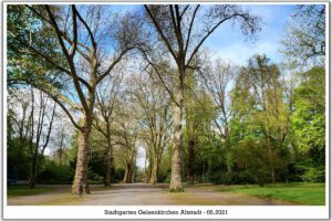 Gelsenkirchen Altstadt Stadtgarten im Mai 2021