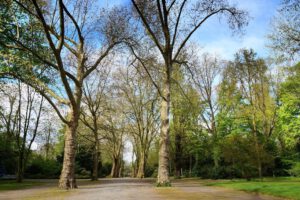 Gelsenkirchen Altstadt Stadtgarten im Mai 2021