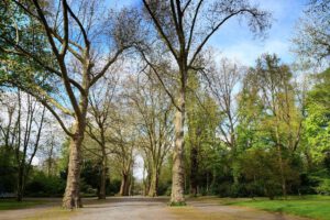 Der Stadtgarten in Gelsenkirchen Altstadt im Mai 2021