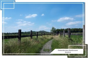 Gelsenkirchen Beckhausen im Juni 2019