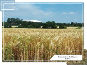 Gelsenkirchen Beckhausen im Juni 2019