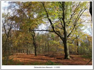 Gelsenkirchen-Bismarck im November 2020