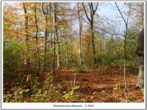 Gelsenkirchen-Bismarck im November 2020