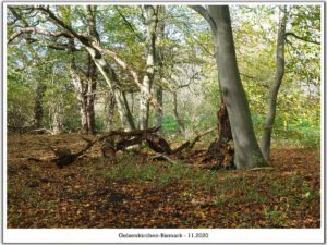 Gelsenkirchen-Bismarck im November 2020