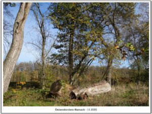 Gelsenkirchen-Bismarck im November 2020