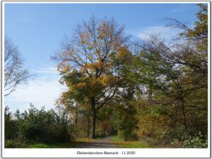 Gelsenkirchen-Bismarck im November 2020