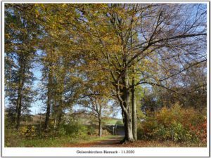 Gelsenkirchen-Bismarck im November 2020