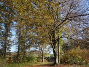 Gelsenkirchen-Bismarck im November 2020