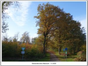 Gelsenkirchen-Bismarck im November 2020