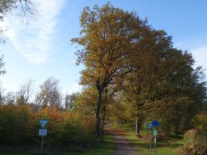 Gelsenkirchen-Bismarck im November 2020