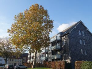 Gelsenkirchen-Bismarck im November 2020