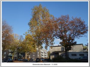 Gelsenkirchen-Bismarck im November 2020