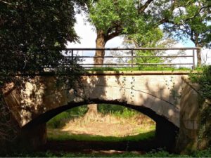 Gelsenkirchen-Bismarck im November 2020