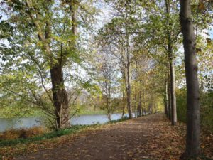 Gelsenkirchen-Bismarck im November 2020