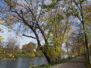 Gelsenkirchen-Bismarck im November 2020