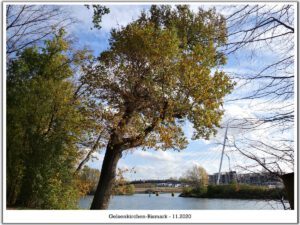 Gelsenkirchen-Bismarck im November 2020