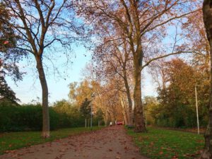 Gelsenkirchen-Bismarck im November 2021