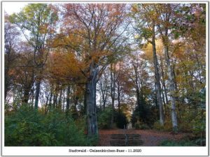 Stadwald Gelsenkirchen-Buer