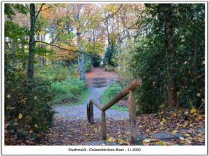 Stadwald Gelsenkirchen-Buer