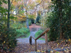 Stadwald Gelsenkirchen-Buer