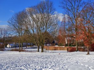 Winter in Gelsenkirchen-Buer im Februar 2021