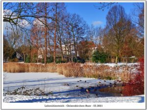 Winter in Gelsenkirchen-Buer im Februar 2021