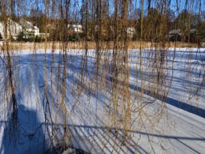 Gelsenkirchen-Buer im Februar 2021