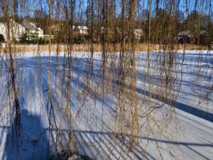 Winter in Gelsenkirchen-Buer im Februar 2021