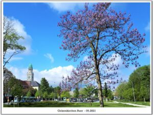 Gelsenkirchen-Buer 110 Gelsenkirchen-Buer im Mai 2021