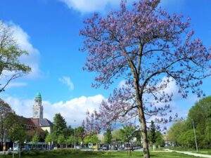 Gelsenkirchen-Buer im Mai 2021