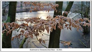 Winter in Gelsenkirchen-Buer im Februar 2021